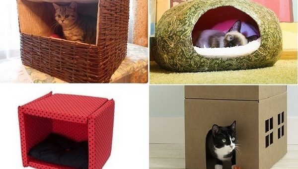 Как своими руками сделать котенку домик