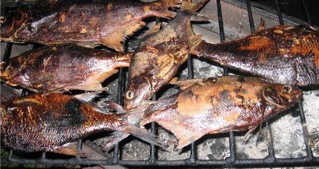 Как в домашних условиях изготовить коптильню – Как изготовить домашнюю коптильню 🚩 изготовление коптильни в домашних условиях 🚩 Дизайн дачи