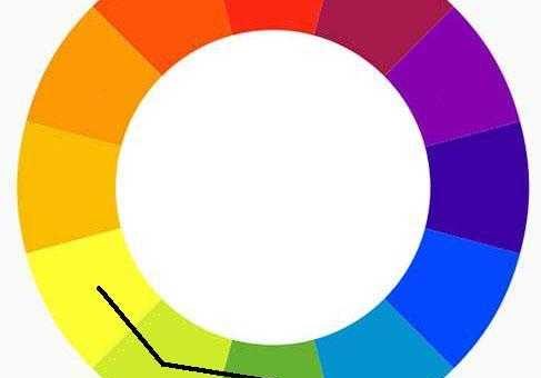 Каланхоэ мангина фото – виды цветка, названия и фото сортов, в том числе Мангина, Розалина, живородящее, трубкоцветное, махровое и Ти Сенто, а также особенности ухода