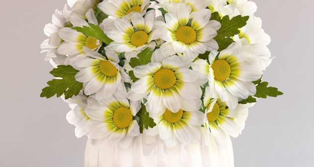 Картинки хризантемы белые – Обои хризантемы, синие, белые, гипсофил, букет картинки на рабочий стол, фото