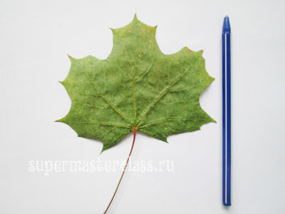 Кленовый лист в руке – Детские аксессуары к осеннему карнавальному костюму. Осенний лист из бумаги. Делаем вместе с детьми из бумаги своими руками осенний лист клена. Кленовый лист к детскому костюмированному утреннику.