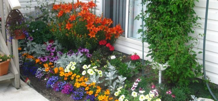 Клумба на даче фото – Цветники своими руками. Фотогалерея цветников, 100 фото идей оформления