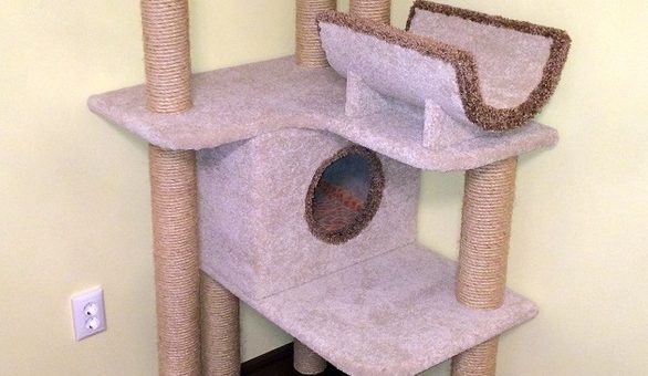 Комплекс для кошек фото – Комплекс для кошек «Гармония» (подходит крупным кошкам) – купить в интернет-магазине на Ярмарке Мастеров с доставкой — 4REA1RU