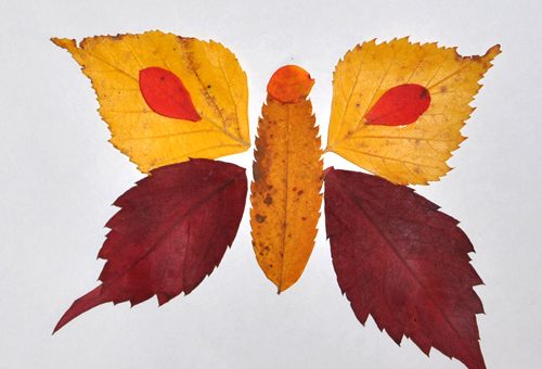 Композиция из кленовых листьев – Композиция из кленовых листьев рисунок. Аппликация «Бабочка» из листьев и других интересных материалов