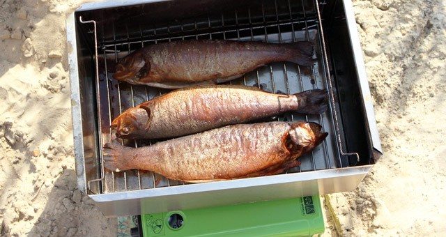 Коптилки самодельные – Самодельная коптильня — изготовление, схемы, принципы, виды и секреты копчения — Блог Агронавта