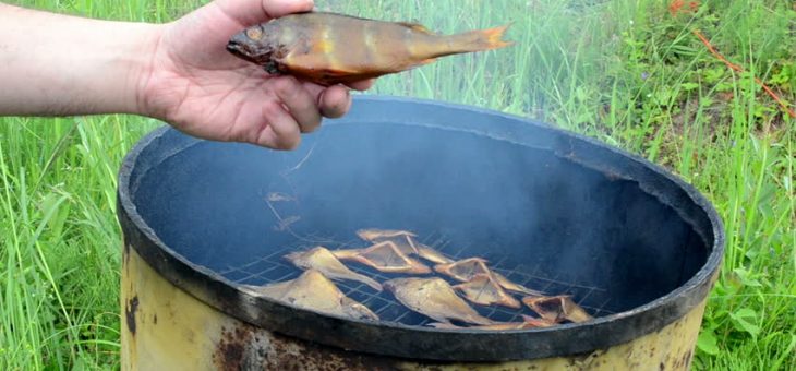 Коптильня для рыбы своими руками – как сделать своими руками в домашних условиях, маленькая переносная модель для холодного копчения, варианты мини и макси для приготовления мяса