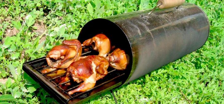 Коптильня для холодного и горячего копчения своими руками – фото этапов строительства, особенности, предназначение, отличия коптилен горячего и холодного копчения