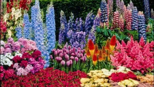 Красивый цветник – Как начинающим сделать своими руками красивые клумбы на даче из многолетников: виды и фото цветников