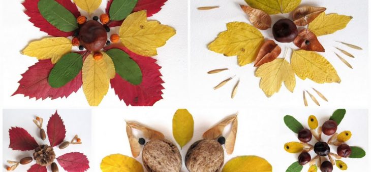 Красивый узор из листьев – Мандалы из осенних листьев. Детская поделка из природных материалов :: Это интересно!