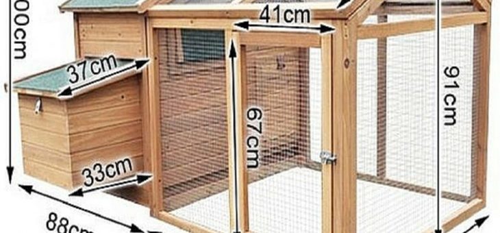 Курятники своими руками фото