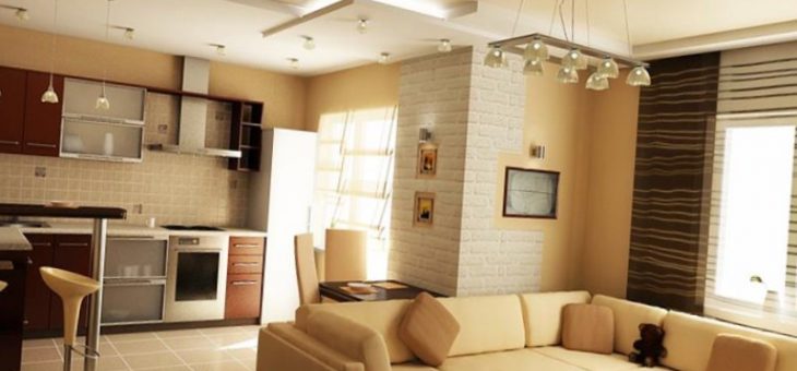 Кухня в доме совмещенная с гостиной