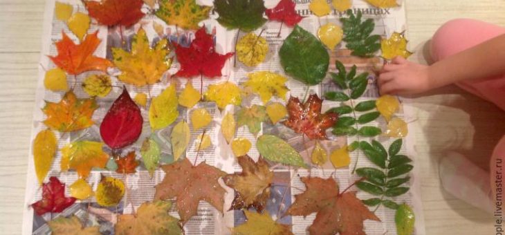 Лак для поделок из листьев – Делаем заготовки осенних природных материалов для творчества – Ярмарка Мастеров