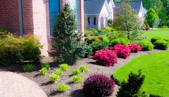 Ландшафт около дома фото