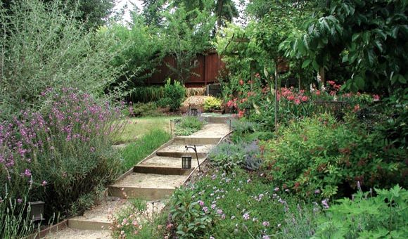 Ландшафтного дизайна основные принципы – Основные принципы ландшафтного проектирования | Ландшафтный дизайн. Cеминары по ландшафтному дизайну.