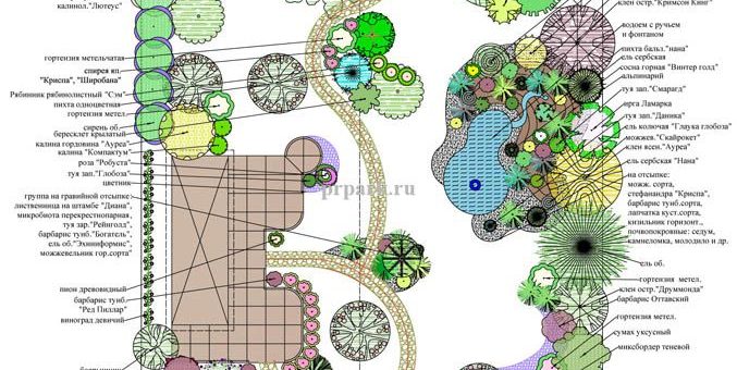 Ландшафтный дизайн чертежи – Планы, генплан, разбивочный чертеж, проект, дизайн-проект, дендроплан, посадочный чертеж