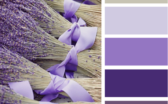 Лавандовый цвет с чем сочетается в интерьере – С каким цветом (какими цветами) сочетается лавандовый в одежде, интерьере?