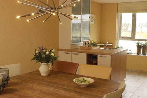 Лучшие интерьерные краски для стен – как выбрать интерьерную и маркерную краску для потолков в квартире, перламутровые цвета и палитра оттенков красящих составов