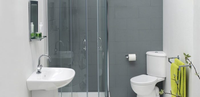 Мини санузел с душевой кабиной – Дизайн маленького совмещенного санузла с душевой кабиной. Как оформляется душевая комната, дизайн решения