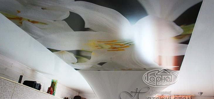 Натяжний потолок ціна фото – Купить натяжной потолок во Львове, цены на натяжные потолки, установка натяжных потолков, двухуровневые натяжные потолки, монтаж потолков, тканевые потолки, глянцевые потолки