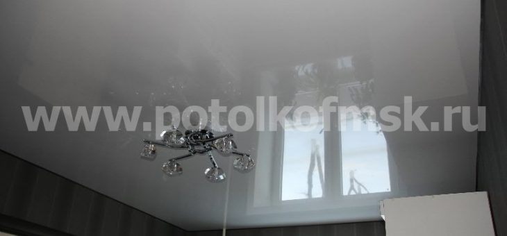 Натяжные потолки лаковые фото – Лаковые натяжные потолки купить в Москве по выгодной цене. Бесплатная доставка и вызов замерщика
