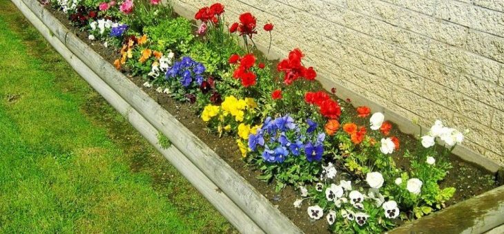 Обрамление клумбы своими руками фото