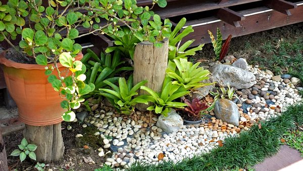 Оформление палисадника своими руками