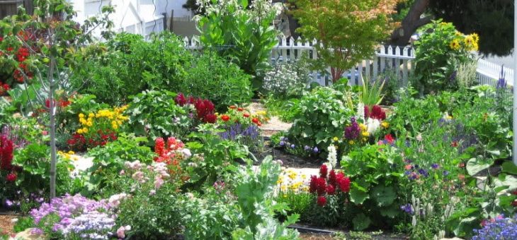 Оформление палисадников – Дизайн палисадника перед домом своими руками, фото красивых палисадников