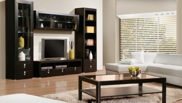 Описание стенка – Мебельные стенки их виды, типы, разновидности, составляющие элементы мебельной стенки. | Гостиные | Мебель