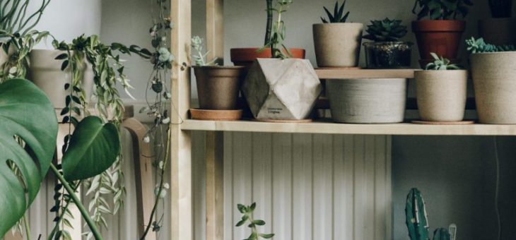 Оригинальные полки для цветов – как сделать подходящий вариант в квартру или на подоконник из подручных материалов