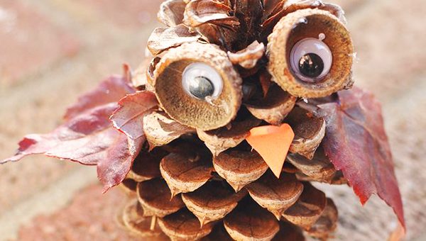 Осенние поделки из шишек своими руками для детского сада