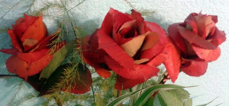 Осенние поделки розы из листьев – Поделки из осенних листьев своими руками. Как сделать розы из осенних листьев