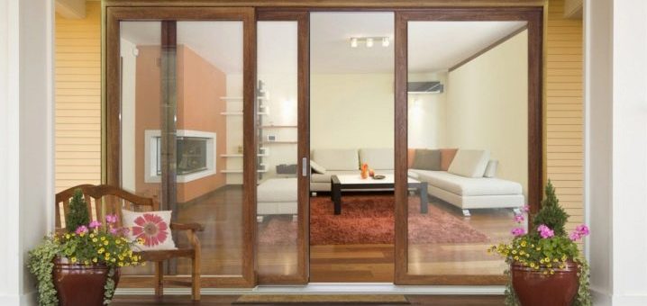 Отъезжающие двери – стеклянные входные модели для частного дома, наружные двери на улицу из стеклокомпозита, гармошка и подвесные