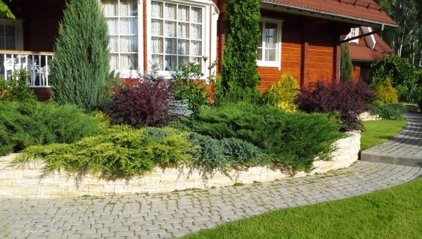 Озеленение участка загородного дома – Ландшафтный дизайн загородного участка, озеленение, благоустройство приусадебного участка загородного дома