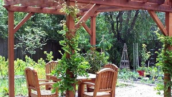 Перголы в саду – что это такое, фото в ландшафтном дизайне + пошаговая инструкция изготовления перголы для вьющихся растений своими руками