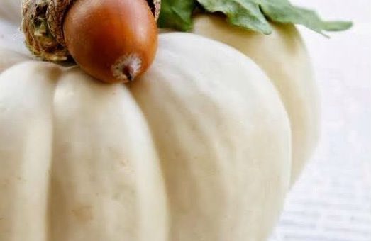 Поделки из желудей и шишек фото – Поделки из желудей – яркие идеи с легким исполнением (60+ фото)