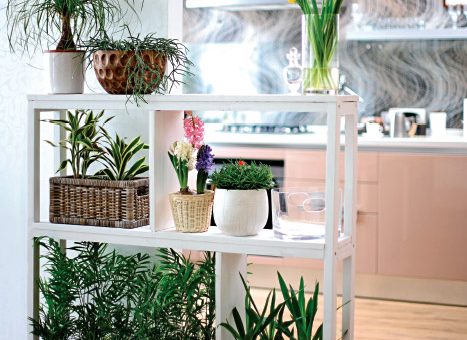 Полки на стену для цветов своими руками – Как сделать полку напольную, на стену, на подоконник для цветов своими руками