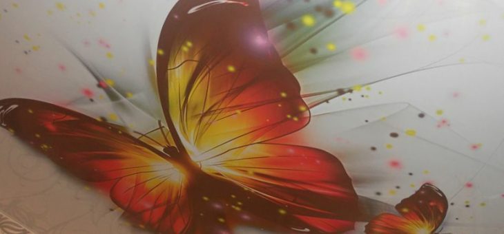Потолки натяжные фото с бабочками – Символ счастливой семейной жизни: бабочки на натяжном потолке и не только | Мос Силинг — установка натяжных потолков в Москве и Подмосковье