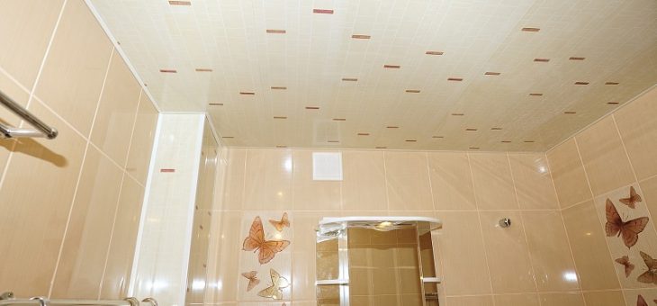 Потолок из пвх панелей в ванной фото – Пластиковый потолок в ванной (44 фото): как сделать своими руками из панелей: видео, фото, инструкция