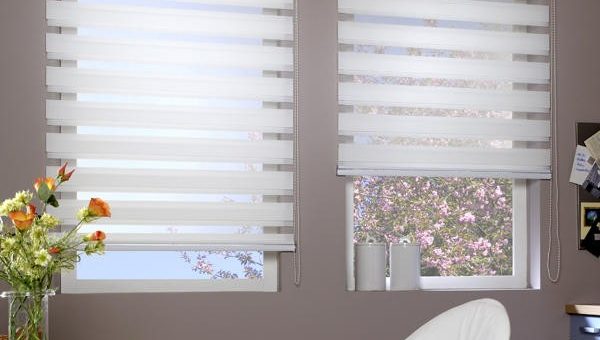 Преимущества жалюзи – Тканевые рулонные жалюзи на окна: разновидности, преимущества, типы механизмов