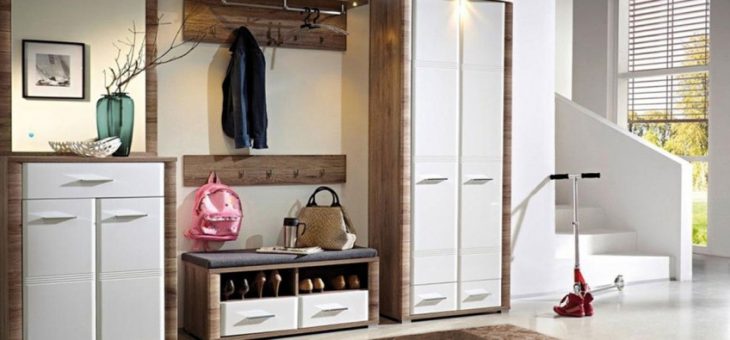 Прихожая шкаф купе с зеркалом – Шкаф-купе и другие разновидности гардероба с зеркалом в прихожей: создать интерьер с помощью одного предмета