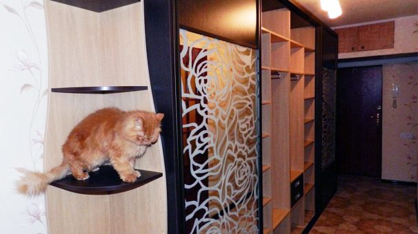 Прихожие в коридор длинные