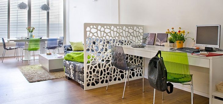 Разделение комнаты на 2 комнаты – Как разделить комнату с одним окном на две изолированные комнаты. Как разделить комнату на две: рекомендации, фото, пояснения.