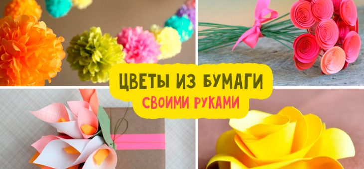 Розы из гофрированной бумаги большие на стену – Цветы из бумаги своими руками схемы и шаблоны: пошаговое руководство для начинающих