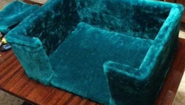 С чем сочетается фисташковый цвет в одежде – Lady74.ru — Культура : С каким цветами сочетается фисташковый цвет в одежде? : 2015 Марта 25