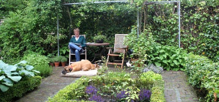 Самшит как выглядит фото – Лабиринт, Узор, Бордюр, Дорожка, забор, изгородь из самшита, Скульптуры, Клумба, Ландшафтный дизайн Buxus, Фото, Шары, Тис, Туя, Buxus Taxus Thuja, Граб, фото галерея,