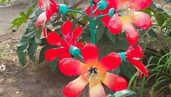 Сделать цветы из пластиковых бутылок – Цветы из пластиковых бутылок для сада и дачи: пошаговый мастер-класс для начинающих