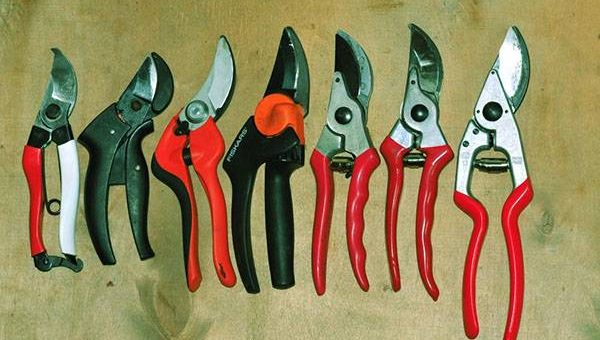 Секатор фото – Секатор садовый — модели Фискарс, профессиональный Stanley, Black Decker, MR Logo, Gardena, Фокина, секатор Турбо гербицид, видео