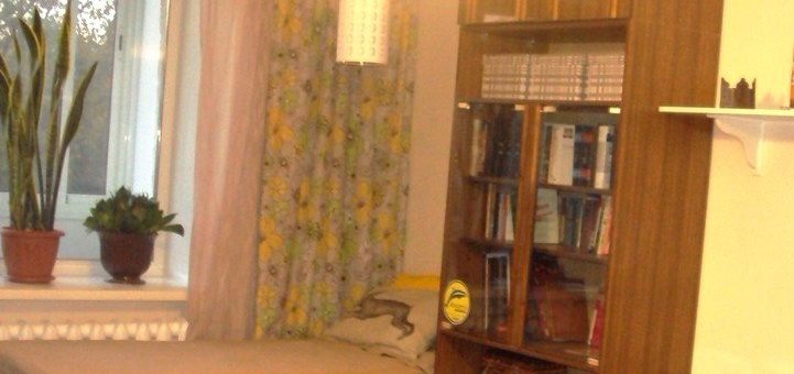 Шкаф плательный или платяной как правильно – А к вас в гостиной есть платяной шкаф или шкаф -купе? Уместен ли он там, если нужен дополнительный шкаф для порядка?