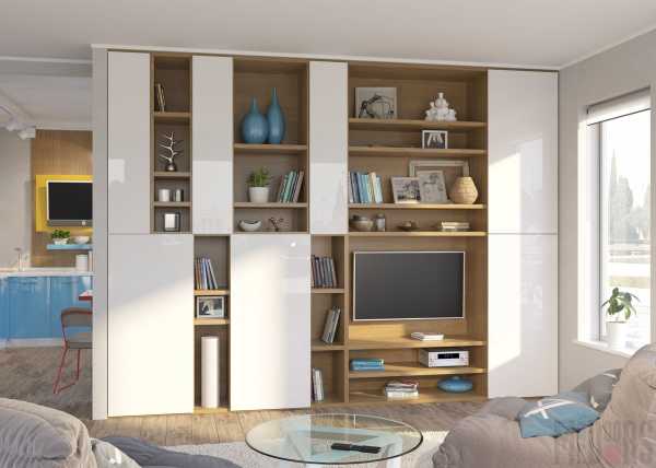 Шкаф в гостиную в современном стиле для одежды без телевизора