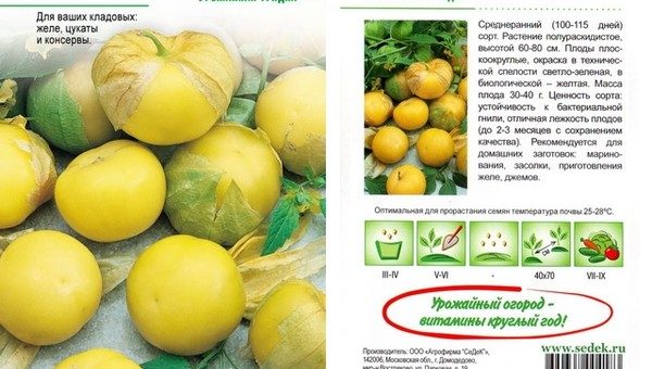 Сорта съедобного физалиса с фото